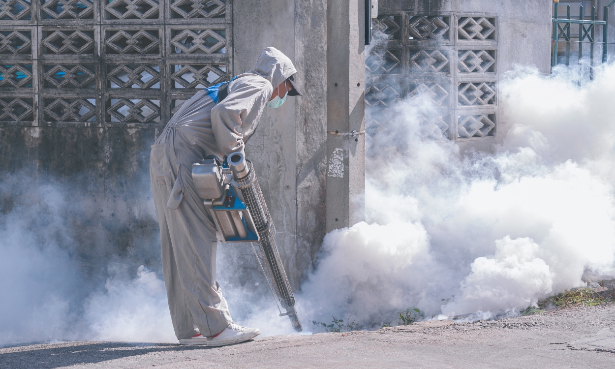 Servicio profesional de fumigaciones en Querétaro