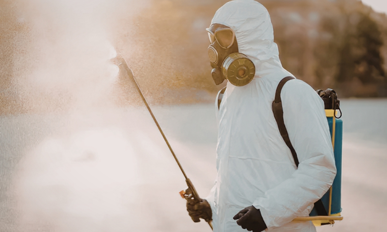 Fumigaciones profesionales en Querétaro