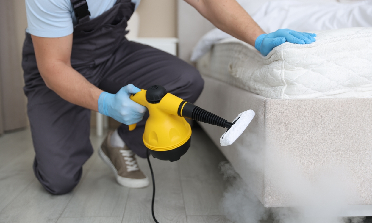 Servicio de fumigación de chinches en Querétaro